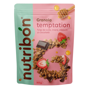 Granola temptation 300g